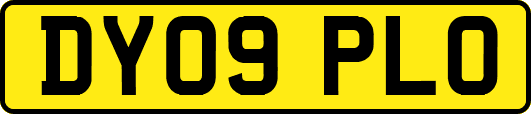 DY09PLO