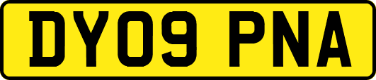 DY09PNA