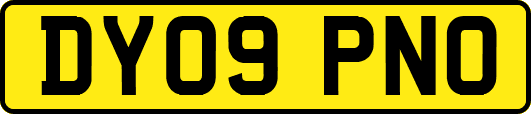 DY09PNO
