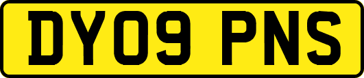 DY09PNS