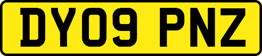 DY09PNZ