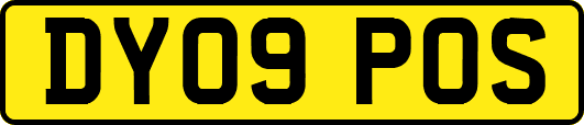 DY09POS