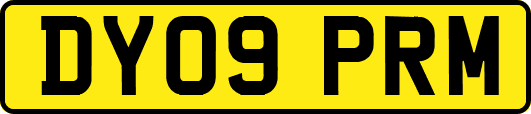 DY09PRM