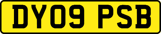 DY09PSB