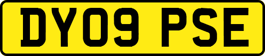 DY09PSE