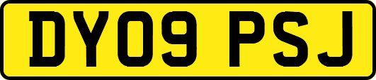 DY09PSJ