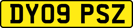 DY09PSZ