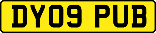 DY09PUB