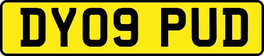 DY09PUD