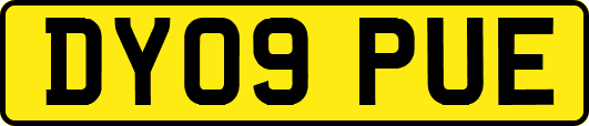 DY09PUE