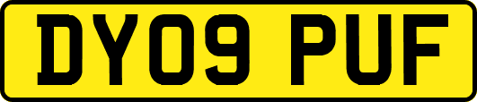 DY09PUF