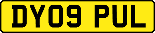 DY09PUL