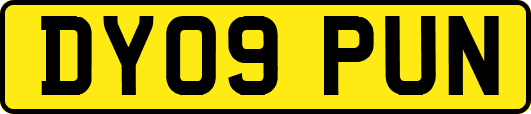 DY09PUN