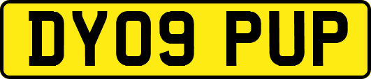 DY09PUP
