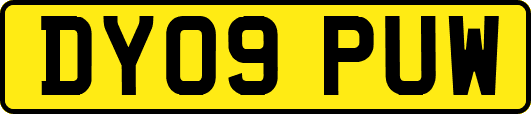 DY09PUW