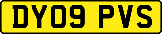 DY09PVS