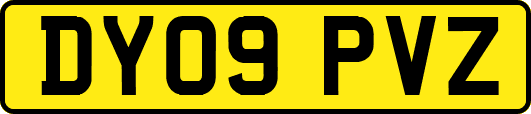 DY09PVZ