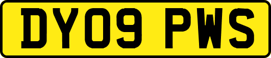 DY09PWS