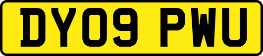 DY09PWU