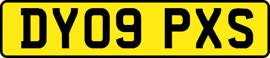 DY09PXS