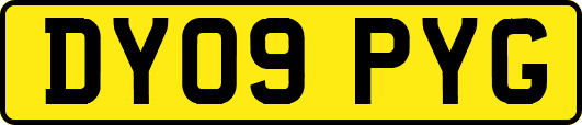 DY09PYG