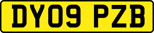 DY09PZB