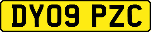 DY09PZC
