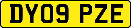 DY09PZE