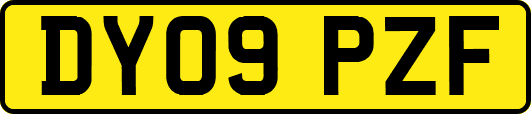 DY09PZF
