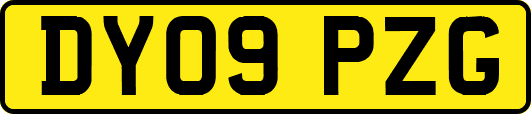 DY09PZG