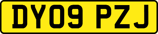 DY09PZJ