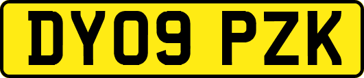 DY09PZK
