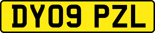 DY09PZL
