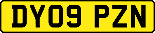 DY09PZN