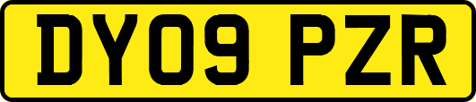 DY09PZR