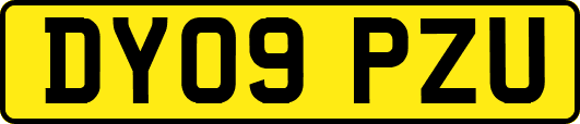 DY09PZU