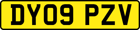 DY09PZV