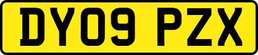 DY09PZX