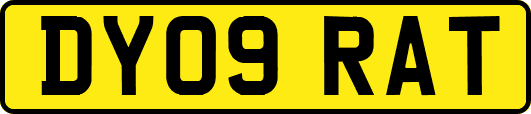 DY09RAT