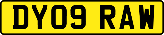 DY09RAW