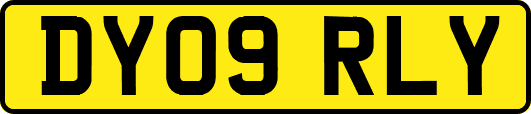 DY09RLY