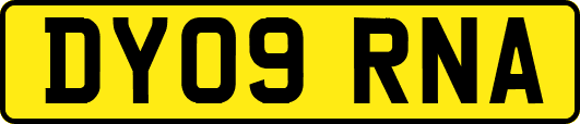DY09RNA