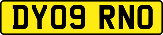 DY09RNO