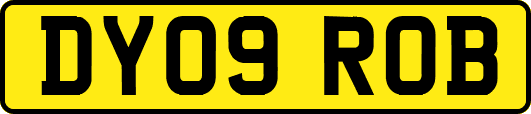 DY09ROB