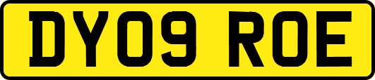 DY09ROE