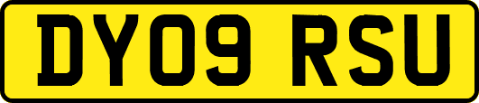 DY09RSU