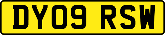 DY09RSW