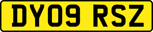 DY09RSZ
