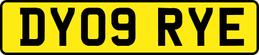 DY09RYE