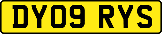 DY09RYS